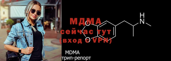СК Алексин