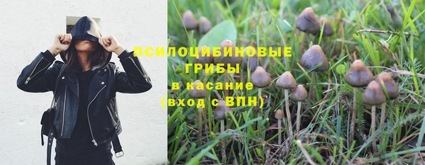 СК Алексин